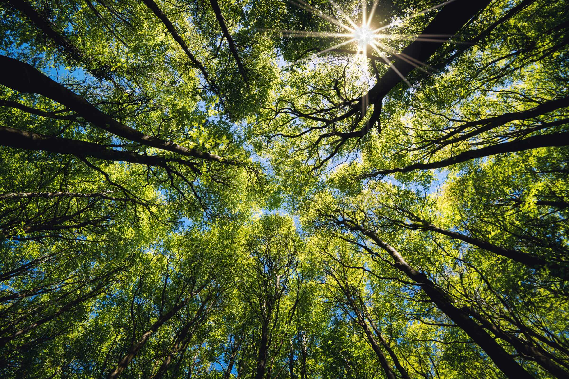 An Overview On ESG Investing: The Pros & Cons