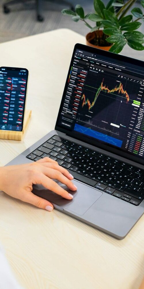 Person at computer with stock market trends